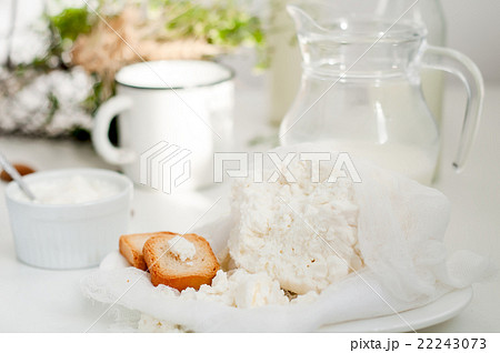 Plate of homemade cottage cheese 22243073