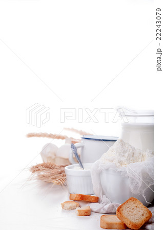 Fresh dairy products 22243079