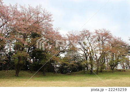 新府城本丸跡 新府城本丸跡 22243259