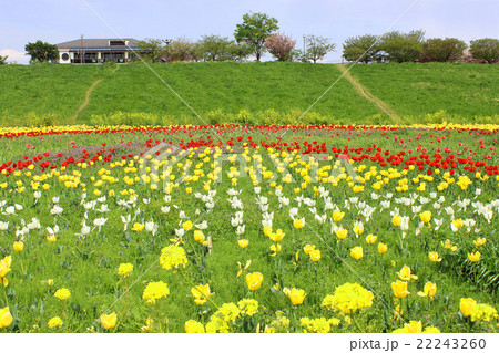 都市農業公園 都市農業公園 22243260