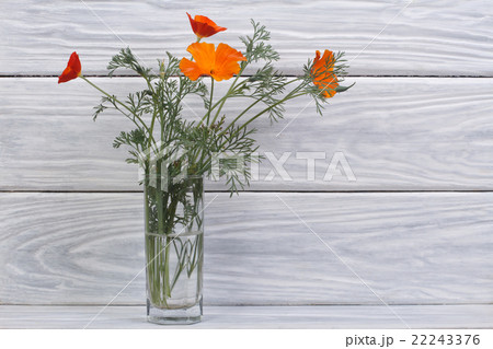 beautiful bouquet of orange flowers eshsholtsiya 22243376
