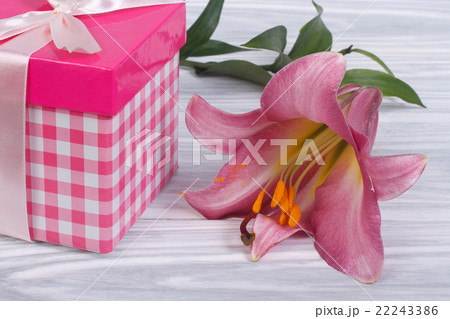 pink gift box with a bow and a beautiful lily 22243386