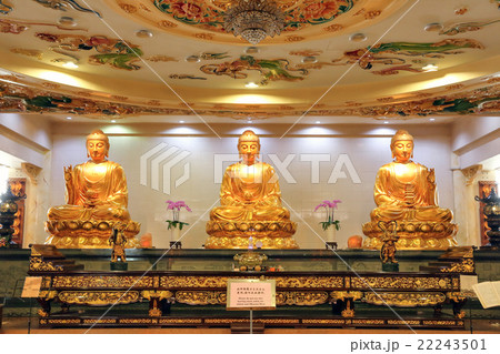 Golden idol statue Golden idol statue 22243501