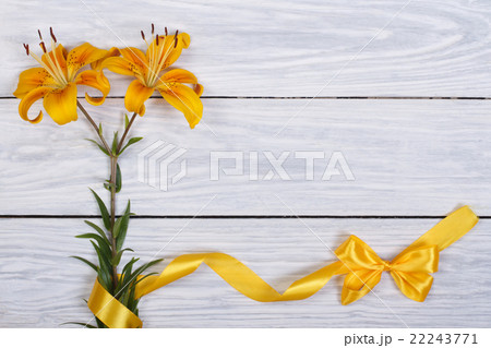 Floral frame from flowers yellow roses and ribbons Floral frame from flowers yellow roses and ribbons 22243771