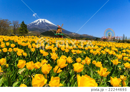 富士山 ぐりんぱ 富士山 ぐりんぱ 22244693
