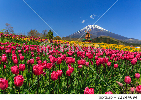 富士山　ぐりんぱ 22244694