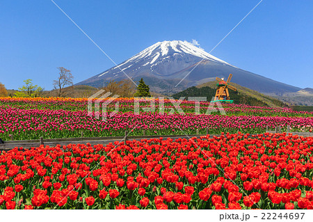 富士山 ぐりんぱ 富士山 ぐりんぱ 22244697