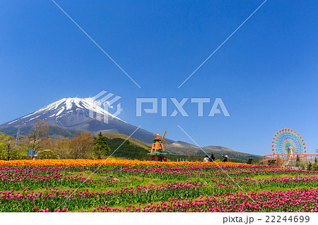 富士山 ぐりんぱ 富士山 ぐりんぱ 22244699