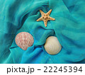 Sea pareo beach composition. 22245394