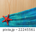 Marine composition on wooden background design template. 22245561