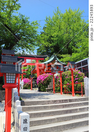 三光稲荷神社　鳥居 22245893