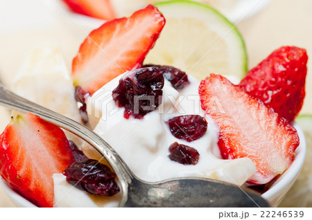 fruit and yogurt salad healthy breakfast 22246539