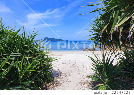 ヒズシビーチ　阿嘉島 22247222