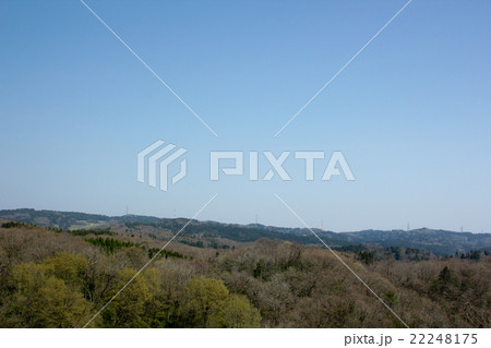 石川県森林公園 22248175