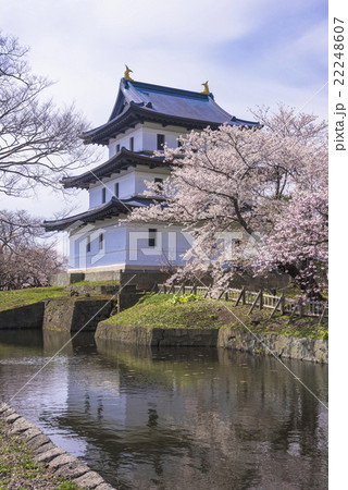 桜咲く松前城 22248607