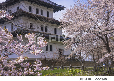 桜咲く松前城 22248611