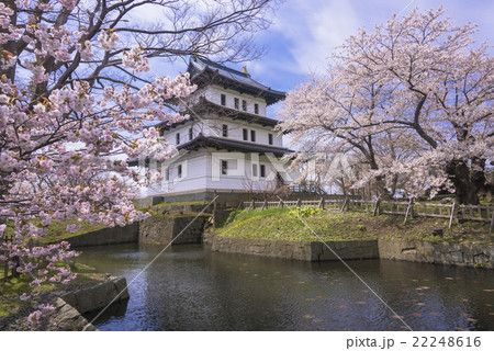 桜咲く松前城 桜咲く松前城 22248616