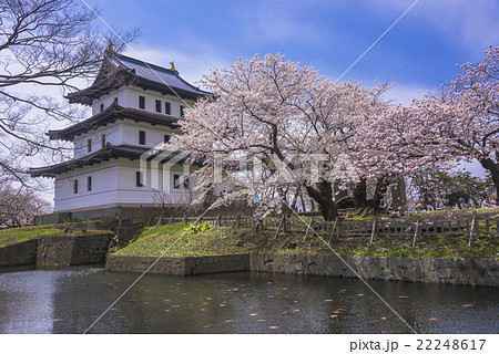 桜咲く松前城 22248617