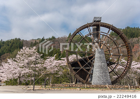 水車と桜 水車と桜 22249416