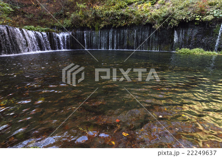 10月 紅葉の白糸の滝 軽井沢の秋 の写真素材