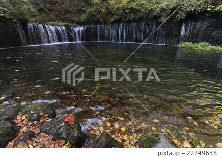 10月 紅葉の白糸の滝 軽井沢の秋 の写真素材