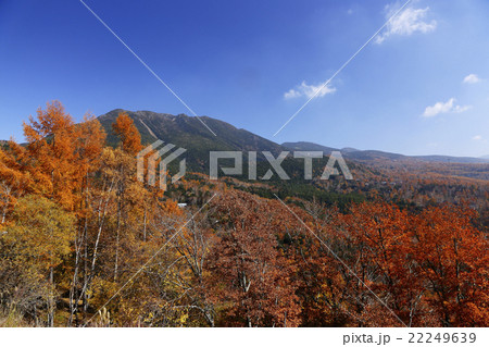 10月 紅葉の蓼科山 信州の秋 の写真素材