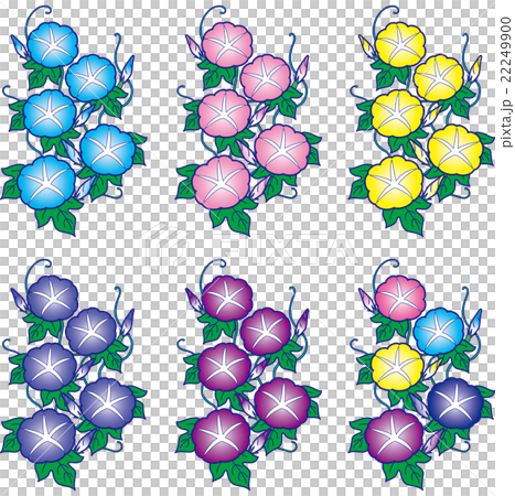 朝顔・夏の花 朝顔・夏の花 22249900