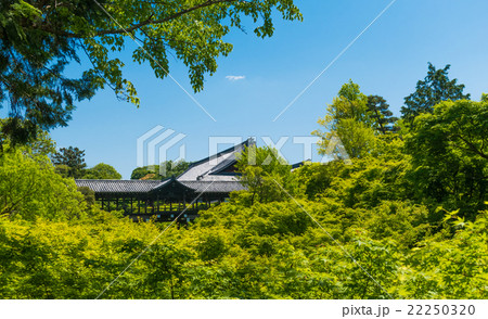 青紅葉の中の通天橋 22250320