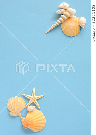 夏イメージ 貝殻とヒトデ 水色背景の写真素材