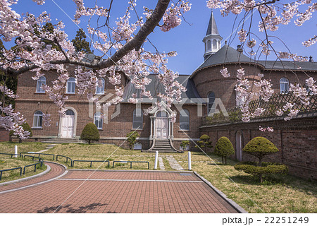 函館・桜満開のトラピスチヌ修道院 22251249
