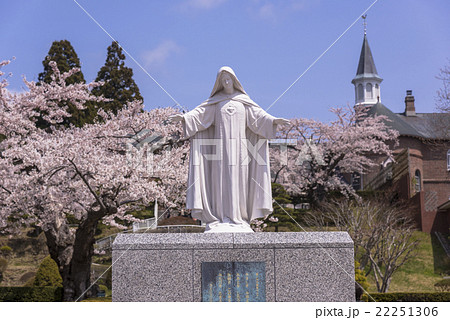 桜満開のトラピスチヌ修道院 22251306