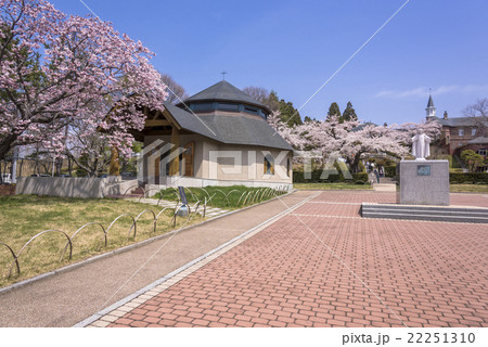 桜満開のトラピスチヌ修道院 22251310