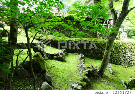 古知谷　阿弥陀寺 22251727