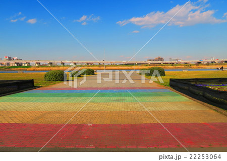 荒川千住新橋緑地の虹の広場と青空 荒川千住新橋緑地の虹の広場と青空 22253064