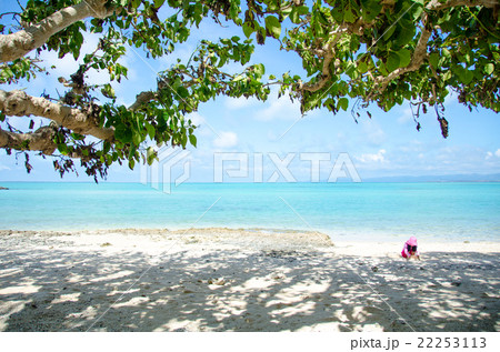 観光イメージ 竹富島のカイジ浜 22253113