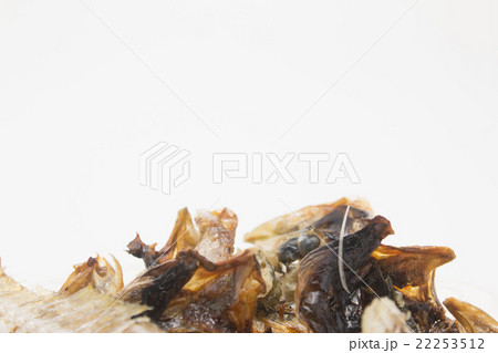 食べ残しの魚 食べ残しの魚 22253512