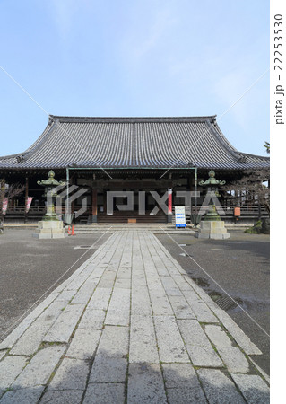 大通寺（長浜御坊）の本堂 22253530