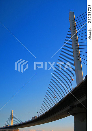 かつしかハープ橋 22253728