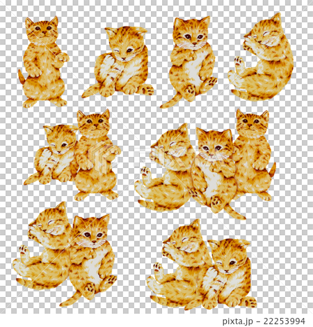 可愛的貓咪圖 22253994