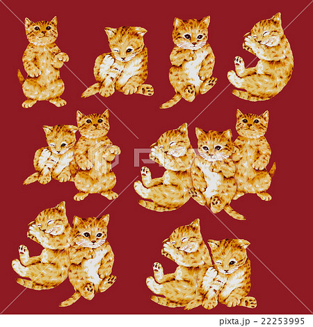 可愛いネコのイラスト 22253995