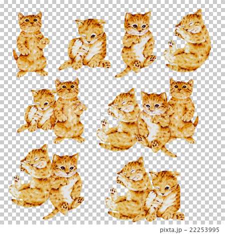 可愛いネコのイラスト 22253995