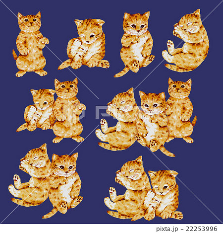 可愛いネコのイラスト 22253996