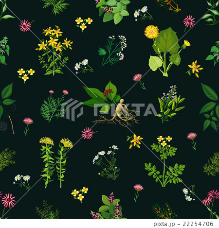 Medicinal Herbs Seamless Pattern 22254706
