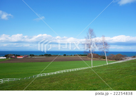 春の八雲　北海道 22254838
