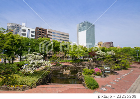 名古屋 栄 都市風景 セントラルブリッジからの眺め 久屋大通公園 ロサンゼルス広場の花水木の写真素材