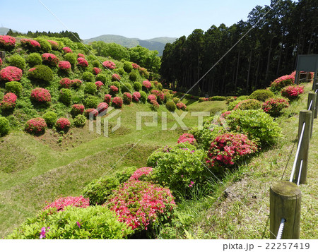 山中城跡公園 22257419