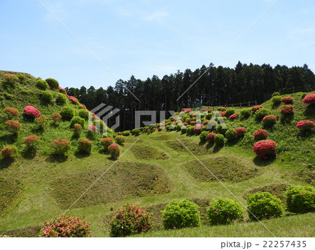 山中城跡公園 22257435