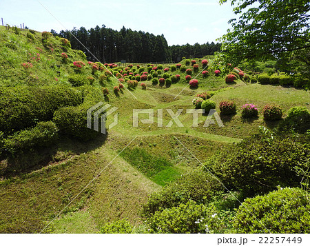 山中城跡公園 山中城跡公園 22257449