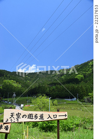 岐阜 春日村 天空の里 茶畑 岐阜 春日村 天空の里 茶畑 22257653