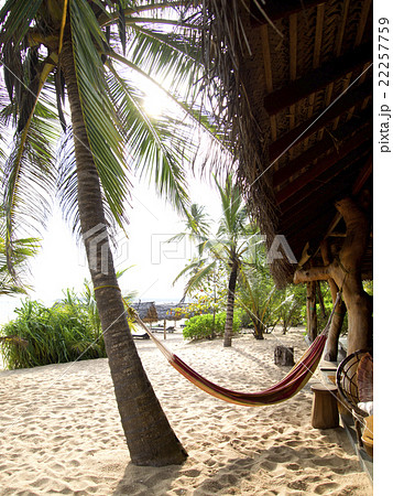 Beautiful landscape at the beach Beautiful landscape at the beach 22257759